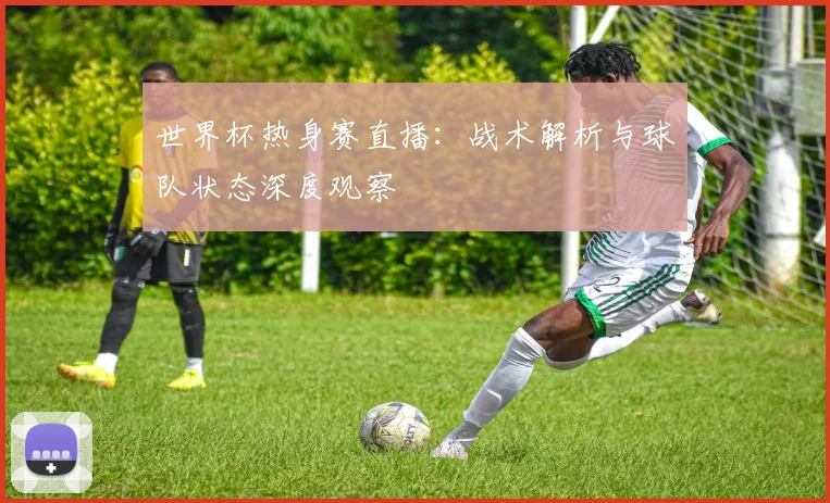 世界杯热身赛直播：战术解析与球队状态深度观察