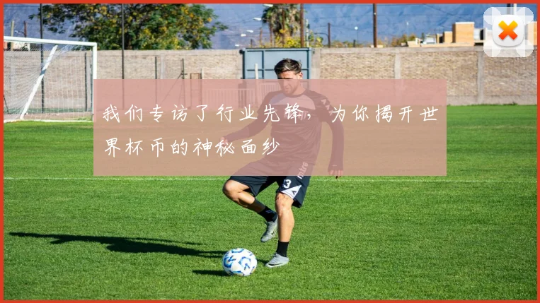 我们专访了行业先锋,为你揭开世界杯币的神秘面纱