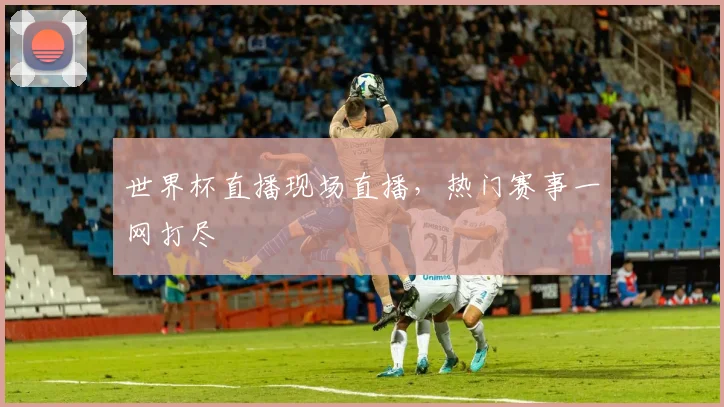 世界杯直播现场直播,热门赛事一网打尽